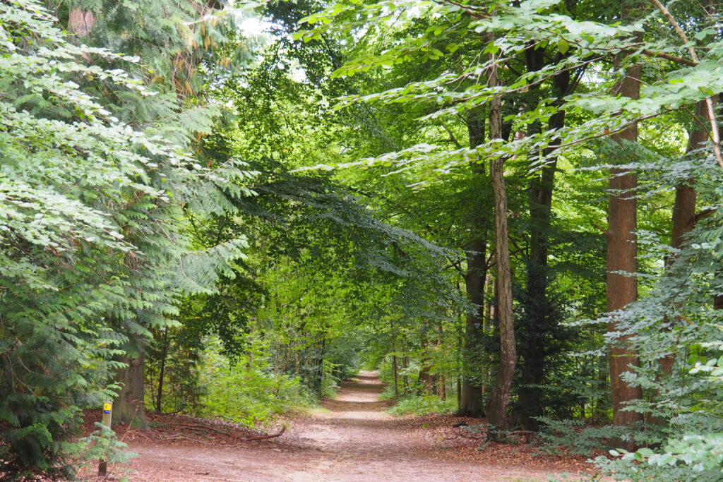 Van Vastzitten naar Vrijheid – 4-daags intensief transformatieprogramma